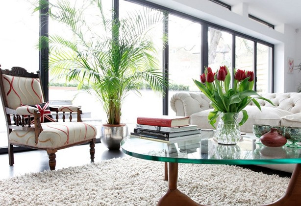 Bạn có thể mua một số cây trồng trong nhà và kết hợp chúng với trang trí nội thất để tạo ra một không gian tươi mới cho ngôi nhà.