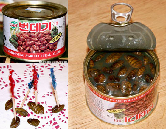 Nhộng tằm đóng hộp: Nhộng tằm là đồ ăn đường phố phổ biến ở Hàn Quốc. Món ăn này cũng được đóng hộp phục vụ người tiêu dùng.