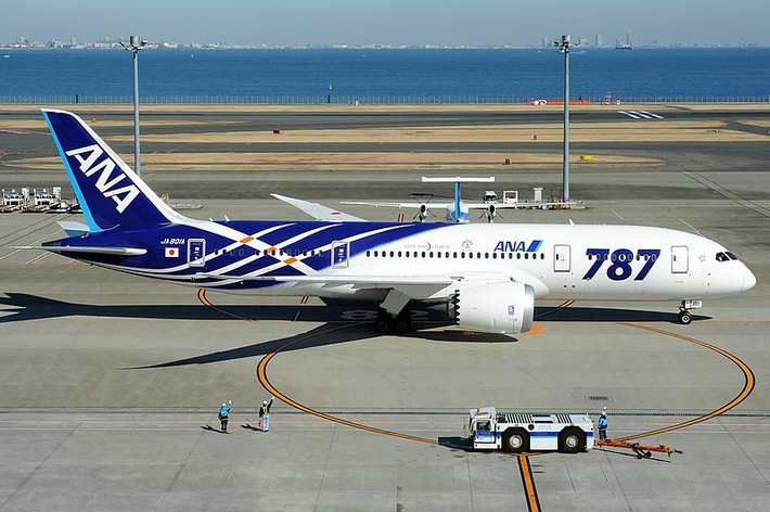 Sự sát nhập này đã góp phần nâng tổng số vốn của All Nippon Airways từ 150 triệu yên lên đến 600 triệu yên và thúc đẩy mạnh mẽ sự phát triển của hãng để trở thành hãng hàng không lớn thứ hai tại Nhật Bản.