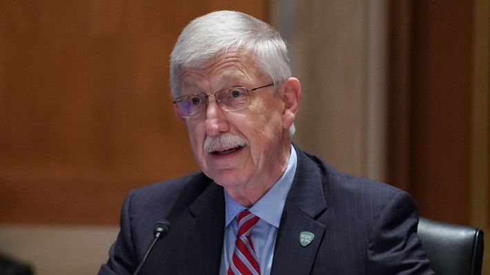 Theo Giám đốc Francis Collins, giả thuyết này khá hợp lý bởi vì nó dường như xuất hiện trong cơ thể của một người bị suy giảm miễn dịch.
