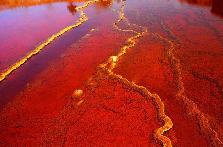 Do đó, dòng sông Rio Tinto trở thành một môi trường khắc nghiệt và chỉ có vài dạng sống như vi khuẩn, tảo thích nghi được. Sự hiện diện của chúng góp phần nhỏ vào màu đỏ của nước.