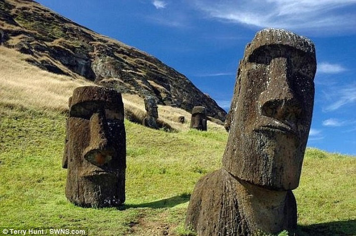 Theo các chuyên gia, nền văn minh Rapa Nui trên đảo Phục Sinh đã tạo ra hàng trăm tượng Moai từ hàng trăm năm trước.