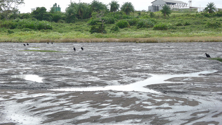 Nằm ở làng La Brea phía tây nam Trinidad, hồ Pitch có diện tích khoảng 40 hecta và sâu khoảng 75m. Đây là hồ nước chứa hàng triệu tấn "vàng đen".
