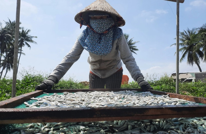 "Công việc không quá nặng nhọc nhưng phải làm ngoài nắng cả ngày rất mệt. Phơi cá xong còn phải đi kiểm tra, loại bỏ cá hư. Mỗi ngày như thế chúng tôi kiếm được 300-350 nghìn đồng", chị Tuyết chia sẻ. Cá phơi nắng liên tục 6-8 giờ sẽ khô giòn. Các cơ sở sản xuất thường chọn những địa điểm ven bờ biển làm nơi sản xuất. Bởi những nơi này có thể đón nắng sớm, gió lộng, đảm bảo cho cá kịp khô trong ngày.
