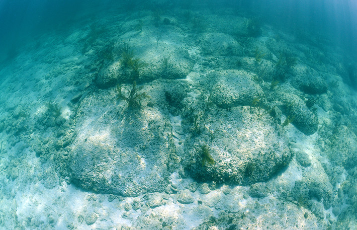 Một số chuyên gia hoài nghi "Đường Bimini" có thể là tàn tích của thành phố huyền thoại Atlantis đã biến mất từ lâu. Kết quả xác định niên đại những khối đá tại đó cho thấy chúng có tuổi đời khoảng 2.000 năm. Thông tin này trở thành bằng chứng cho thấy "Đường Bimini" không liên quan đến Atlantis bởi thành phố huyền thoại này được cho đã chìm xuống biển vào khoảng 12.000 năm trước.