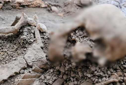 Ông Gabriel Zuchtriegel, Giám đốc Công viên Khảo cổ học Pompeii, cho biết 2 nạn nhân trên không chết vì ảnh hưởng của các dòng nham thạch và tro cực nóng.