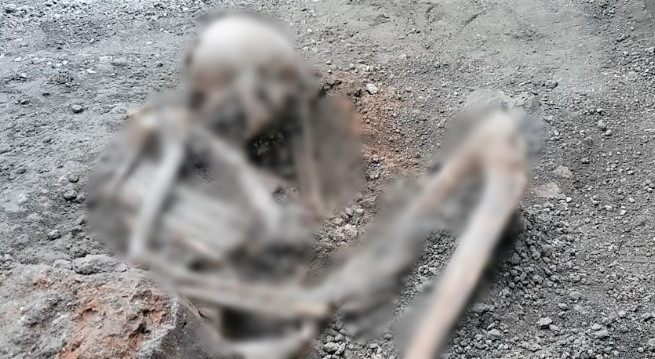 Tháng 5/2023, các nhà khảo cổ tìm thấy 2 bộ hài cốt ở thành phố La Mã cổ đại Pompeii. Thành phố này đã bị "xóa sổ" sau vụ phun trào của núi lửa Vesuvius vào năm 79 sau Công nguyên. Thảm kịch núi lửa Pompeii "thức giấc" đã vùi lấp, giết chết khoảng 2.000 người ở Pompeii.