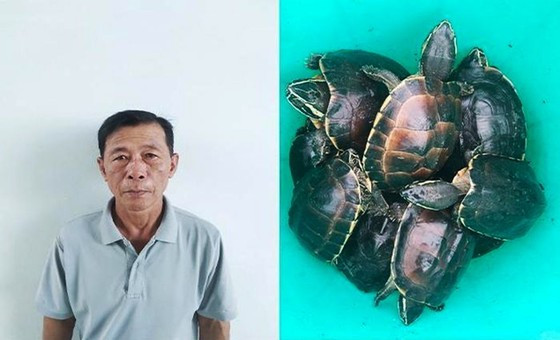 Tại cơ quan điều tra, Nguyễn Văn Thống khai nhận, trước đó đã mang 23 chiếc lú vào đặt xung quanh khu vực bảo tồn rùa của Vườn quốc gia U Minh Thượng. Đến đêm 4/10, Nguyễn Văn Thống lẻn vào kiểm tra bẫy và bắt được 41 cá thể rùa. Trên đường đem đi tiêu thụ, Nguyễn Văn Thống bị công an bắt giữ.