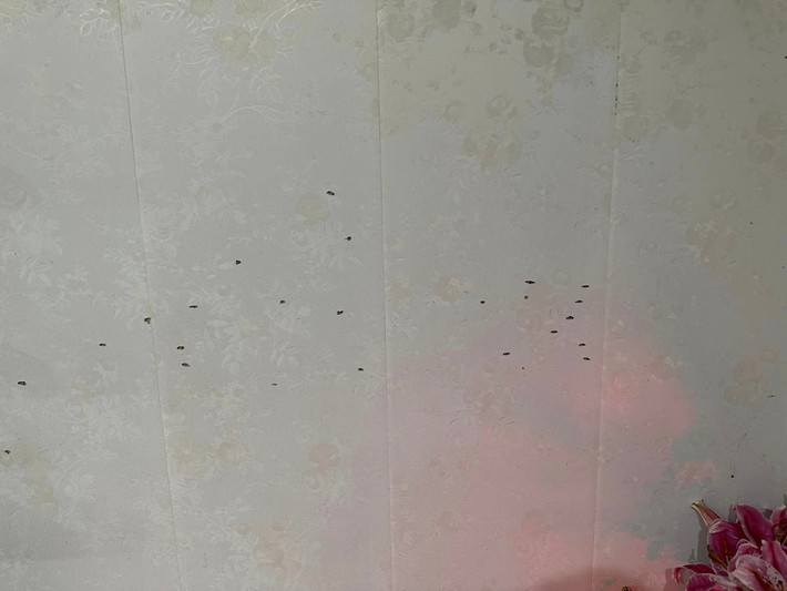 Được biết hiện lãnh đạo Công an TP Hải Dương đã lập tức cử đội nghiệp vụ xác minh và truy tìm các đối tượng.