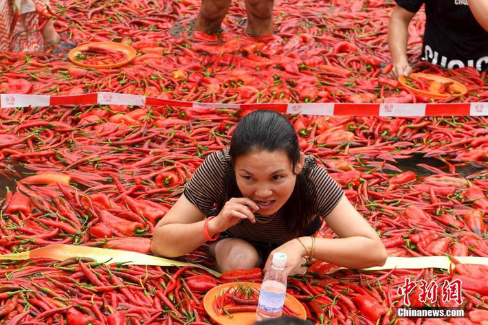 Mặc dù diễn ra vào ngày hè, cuộc thi ăn ớt quy mô lớn ở Hồ Nam vẫn diễn ra rất hào hứng. Cả người chơi và người cổ vũ đều rất nhiệt tình, tạo nên bầu không khí sôi động.