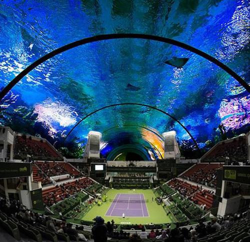 Đó sẽ là khu liên hợp với tổng cộng 7 sân tennis và phần mái vòm trong suốt giúp khán giả có thể vừa xem tranh đấu quần vợt vừa thưởng thức được thế giới đại dương trong xanh.