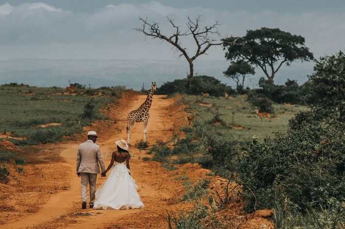 Chụp ảnh cưới với hươu cao cổ ở miền bắc Uganda, châu Phi. Ảnh: Cosmopolitan.