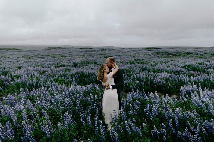 Bức ảnh đẹp giữa cánh đồng hoa ngát hương ở Grindavik, Iceland. Ảnh: Cosmopolitan.