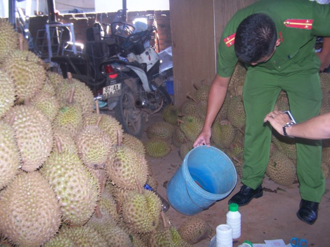 Tại hiện trường, cơ quan chức năng phát hiện có 4 chai thuốc loại 0,5 lít đã qua sử dụng. Hóa chất được hòa với nước để "tắm" cho sầu riêng, có màu vàng chanh, bốc mùi khó chịu.