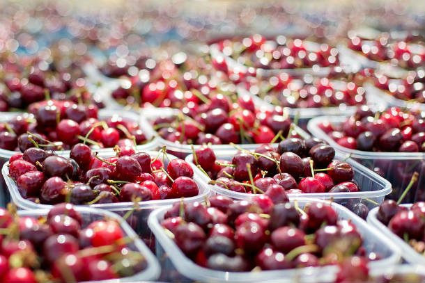 12. Quả cherry: Cherry có thể giúp ích rất nhiều cho những người khó ngủ bởi nó chứa melatonin. Thực phẩm này cũng có chứa các chất giúp giảm cân.