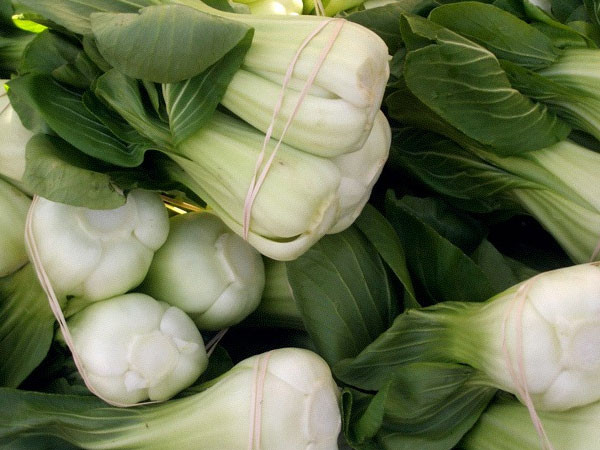 Cải thìa (cải chíp): Loại cải ngon này là một nguồn cung cấp nhiều vitamin A cũng như sắt. Một chén cải thìa được biết có chứa khoảng 1,8 mg sắt. Ảnh: Boldsky.