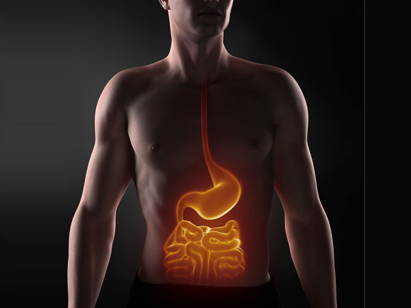 Khi kẹo cao su đi qua thực quản và đến dạ dày, chúng sẽ được các axit và enzyme nơi đây phân giải. Các chất hóa học trong thành phần của kẹo như đường, chất làm mềm glycerin và các loại hương liệu như dầu bạc hà sẽ bị tách ra. Ảnh: Boldsky.