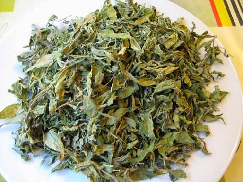 Lợi sữa: Trong y học cổ truyền Việt Nam, Hải Thượng Lãn Ông Lê Hữu Trác từng dùng rễ đinh lăng sao vàng, hạ thổ, sắc cho phụ nữ uống sau khi sinh đẻ để chống đau dạ con và làm tăng tiết sữa cho con bú. Rửa sạch một nắm lá đinh lăng rồi cho vào đun sôi, sau đó chắt lấy nước và uống khi nước còn ấm có tác dụng "gọi sữa" về cho sản phụ. Ảnh: Thuocbongamruou.
