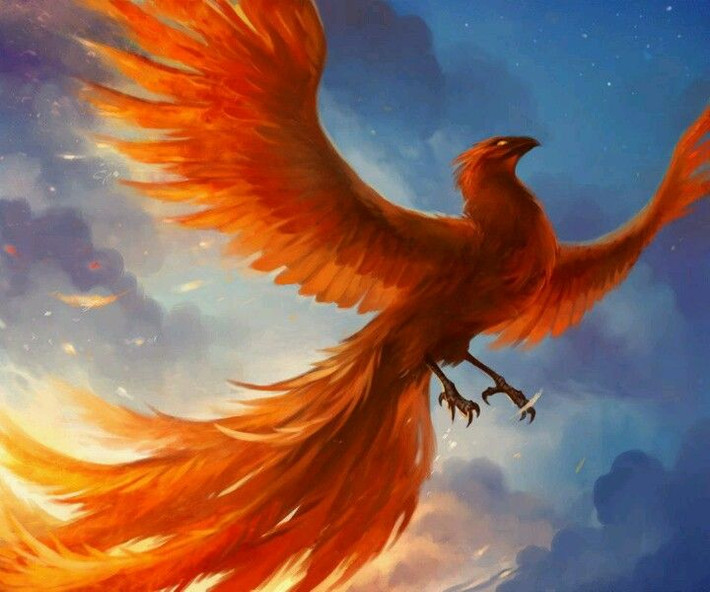 Phượng hoàng có bộ lông dài và rực rỡ nhiều màu sắc như đỏ, vàng, tím. Nó có đôi mắt màu xanh và tỏa sáng như những viên ngọc bích.