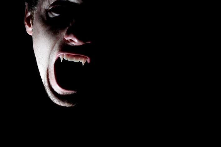 Không những vậy, lâu đài Frankenstein còn được cho là nơi ẩn náu của một con ma cà rồng.