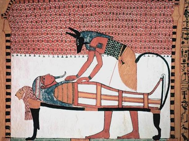Hình ảnh thần Anubis được có trên các văn bản chữ tượng hình được khắc trên các lăng mộ, đền đài.