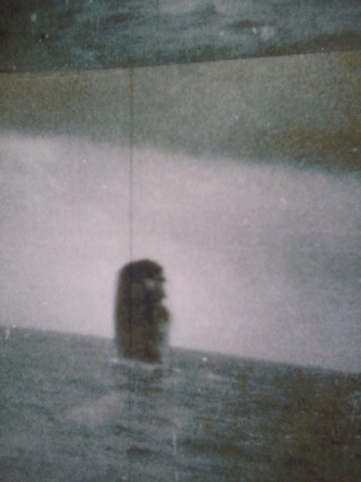Theo các nhà nghiên cứu, số ảnh chụp UFO trên được thực hiện từ tàu ngầm USS Trepang SSN 674 của Mỹ vào tháng 3/1971.