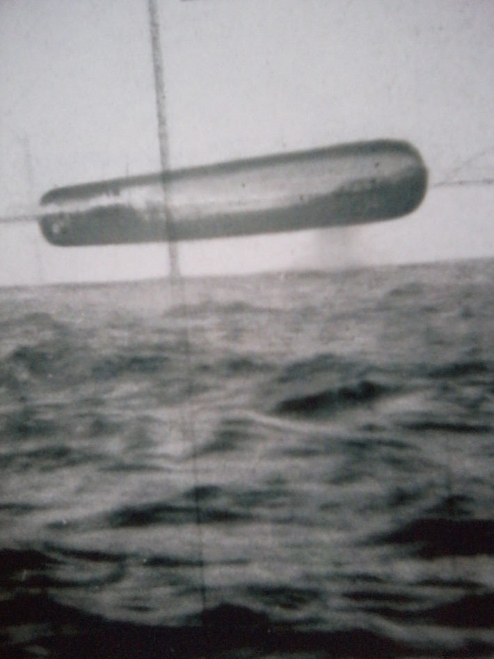 Sau khi những hình ảnh về UFO trên được công bố, giới chuyên gia và công chúng vô cùng quan tâm.