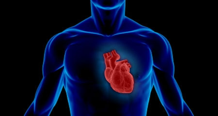 Về sau, cô bé được các bác sĩ, chuyên gia tâm lý điều trị và có thể mô tả chi tiết về kẻ sát nhân đã giết bé gái hiến tim cho em. Nhở vậy, cảnh sát bắt được hung thủ gết hại bé gái trong vụ án.