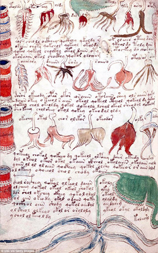 Để đi đến kết luận này, ông Gibbs so sánh bản thảo Voynich với một số văn bản khác có từ thời Trung cổ với nội dung về sức khỏe phụ nữ.