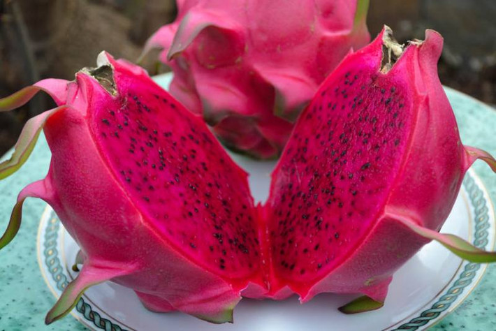 Thanh long ruột đỏ cũng có chứa nhiều carotene hơn. Đây là chất chống oxy hóa hiệu quả nhất giúp chống lại các gốc tự do, tăng cường khả năng miễn dịch của cơ thể.