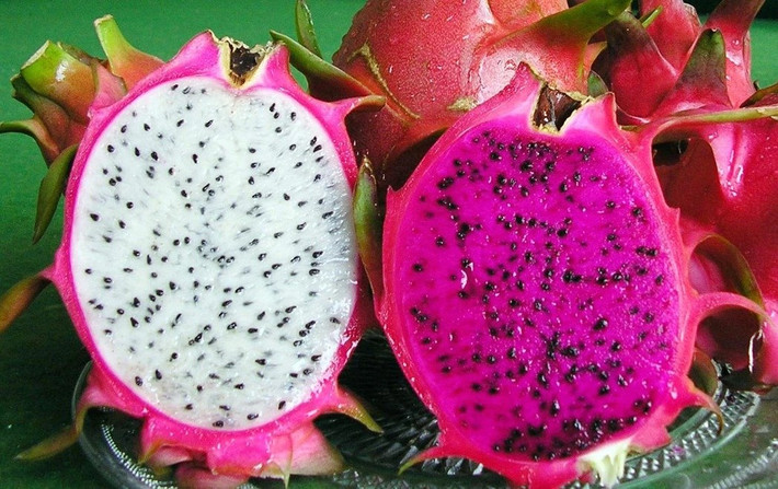 Thanh long là một loại trái cây nhiệt đới có giá trị dinh dưỡng cao, ngoài protein và các nguyên tố vi lượng, nó còn chứa một chất anthocyanin có rất nhiều lợi ích đối với cơ thể con người. (Ảnh minh họa)