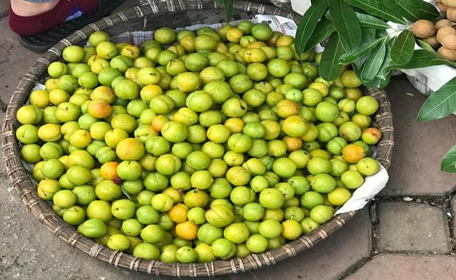 Ngoài mận tím bầm, thị trường còn xuất hiện loại mận cơm vỏ xanh, quả chín vỏ sẽ màu hơi vàng, hạt sẽ tách rời luôn ra nên được rất nhiều người chuộng mua.