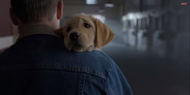 4. Hãng bia Budweiser với quảng cáo Puppy Love dành được 1,9 triệu lượt chia sẻ. Nội dung quảng cáo này nói về một chú chó nhỏ cố gắng chạy khỏi trang trại cho nhận nuôi chó để kết bạn với một chú ngựa giống Clydesdale ở trang trại phía cuối đường. Đoạn quảng cáo gây sốt này hội tụ ba tiêu chí: Giàu cảm xúc, mang tính hình tượng và nghệ thuật.