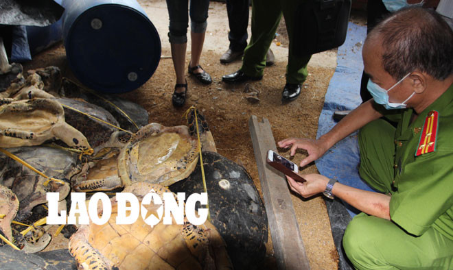 Các lực lượng chức năng khá xét tại hiện trường.