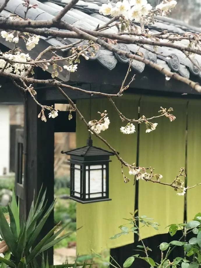 Ngay cả chủ nhà của Bạch Lộc, sau khi nhìn thấy sự thay đổi ngoạn mục của ngôi nhà cũng không kìm được lòng, liên tục thán phục chàng trai trẻ. (Nguồn Youthwant)