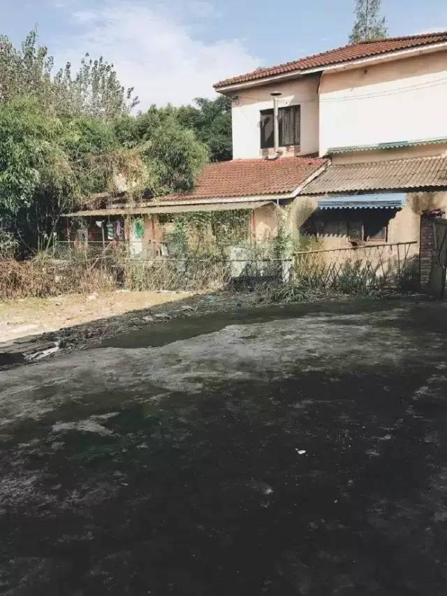 Ngôi nhà rất cũ, nhiều nơi bong tróc, hỏng khiến nhiều người thuê nhà ái ngại. Thế nhưng vừa nhìn thấy ngôi nhà, chàng trai Bạch Lộc đã quyết ý thuê. Dù nhiều bạn bè của anh chê cười rằng anh túng thiếu, ngu ngốc đến mức thuê một ngôi nhà nát để ở, Bạch Lộc cũng không bận tâm. (Nguồn Youthwant)
