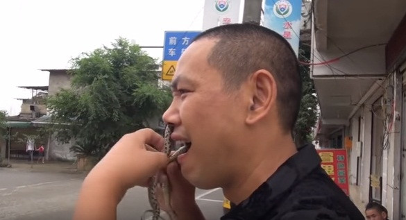 Wu Song chia sẻ, anh may mắn được một số bậc thầy võ thuật có kinh nghiệm lâu năm, dạy cách thuần phục, chế ngự và điều khiển con rắn độc từ khi còn nhỏ. "Bởi rắn cảm nhận mọi thứ xung quanh bằng khứu giác là chủ yếu, tôi đã phải rất khó khăn mới khiến nó quen mùi", dị nhân chơi đùa với rắn nói. (Nguồn Youthwant)