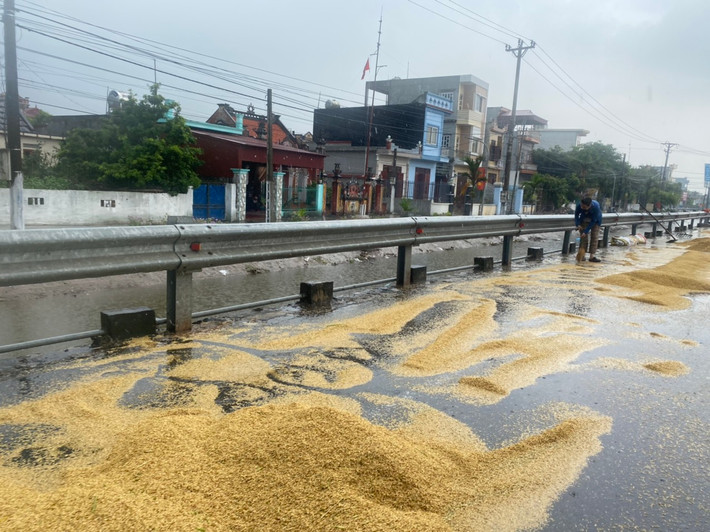 Khoảng 10h ngày 6/6, trên địa bàn huyện Hải Hậu (Nam Định) bất ngờ có cơn mưa lớn khiến hàng chục tấn thóc đang phơi ngoài đường của người dân ngập ngụa trong nước.