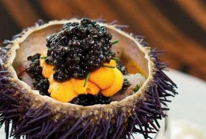 Kẽm đóng vai trò quan trọng trong việc chữa lành vết thương, thậm chí còn hỗ trợ khả năng sinh sản và tăng cường hệ miễn dịch.