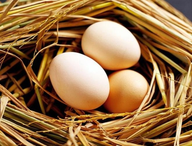 Ngoài ra, trong những ngày hè nóng nực, hãy chú ý nhiều hơn đến những món ăn kết hợp với trứng lòng đào như salad, các món trộn, món nguội. Nếu thấy có dấu hiệu đau bụng cần phải đặc biệt theo dõi và đến ngay cơ sở y tế gần nhất để được giúp đỡ.