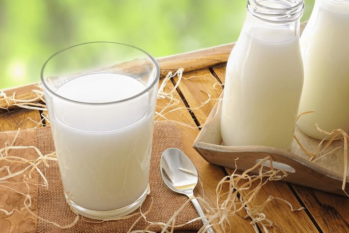Nghiên cứu cho thấy, sữa tươi chưa qua xử lý có chứa gần 100 loại vi khuẩn gây bệnh, bao gồm Escherichia coli, trực khuẩn Vibrio, Brucella,… Sau khi nhiễm khuẩn, người bệnh có các triệu chứng như nôn mửa, tiêu chảy, đau bụng, sốt. Trường hợp nặng có thể dẫn đến tử vong.