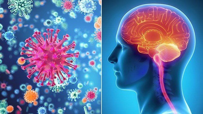 Nếu nằm trong nhóm có tỷ lệ mắc viêm màng não do vi khuẩn Listeria meningitis cao hơn, bạn phải cẩn thận hơn, đừng bao giờ chủ quan để rồi hối không kịp.