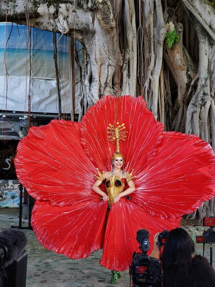 Đại diện Puerto Rico sẽ mặc quốc phục hoa dâm bụt tại Miss Universe 2019.