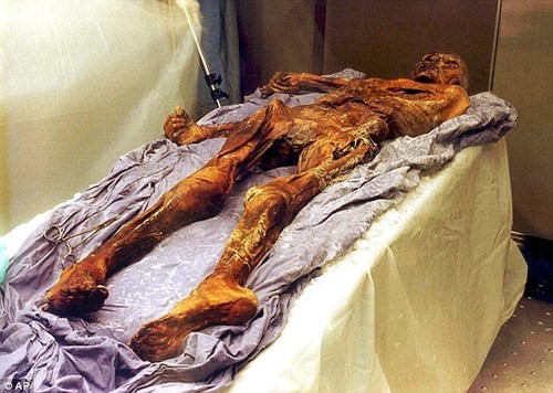 Thêm nữa, các nhà khoa học hy vọng việc lấy mẫu DNA của Otzi sẽ có hiệu quả để tìm ra những "họ hàng" thời hiện đại của xác ướp trong băng bí ẩn này.
