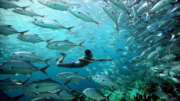 Bộ tộc người cá Bajau có thể sống hàng tháng trời lênh đênh trên biển chỉ với một con xuồng perahu.