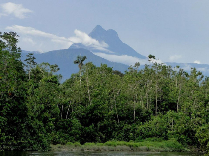 4. Ngọn núi cao nhất của Brazil: Ngọn núi cao nhất của Brazil là Pico de Neblina hay Mist Peak trong tiếng Anh. Điều đáng ngạc nhiên là nó không được phát hiện cho tới gần đây. Pico de Neblina được tìm thấy vào năm 1950 và không cao thêm trong 15 năm sau đó.