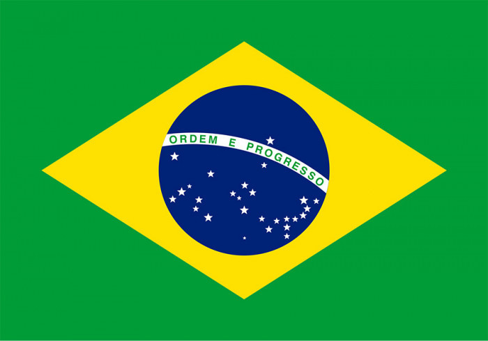 9. Quốc kỳ Brazil có 27 ngôi sao: Quốc kỳ Brazil có màu xanh lá cây với một viên kim cương màu vàng ở trung tâm và một quả địa cầu màu xanh lam. Trên quả địa cầu có 27 ngôi sao màu trắng với một dòng khẩu hiệu chính giữa "Ordem e Progresso", có nghĩa là Trật tự và Tiến bộ.
