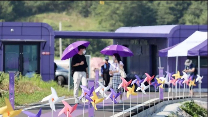 Đảo Banwol có khoảng 400 tòa nhà với mái được sơn màu tím nhạt, các bốt điện thoại và một cây cầu lớn nối với Đảo Bakji lân cận đều mang màu tím mộng mơ.