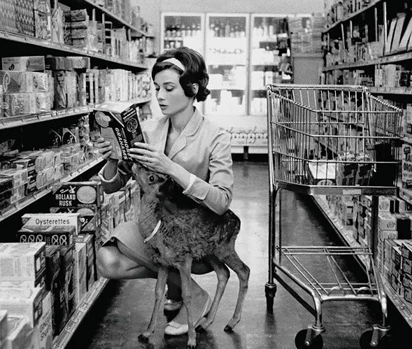 Nữ diễn viên xinh đẹp Audrey Hepburn đi mua sắm tại một cửa hàng với thú cưng là một con nai có tên "Ip". Ảnh chụp tại Beverly Hills, Mỹ năm 1958.