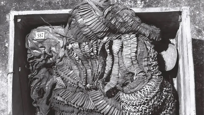 Bộ áo giáp khoảng 3.300 tuổi được tìm thấy trong lăng mộ của pharaoh Tutankhamun ở Thung lũng các vị vua, Ai Cập. Nó có thể từng được ông hoàng này mặc khi đi săn hoặc lúc chỉ huy trong các trận chiến. Bộ áo giáp này được tạo thành từ hàng ngàn mảnh da xếp giống như vảy cá.